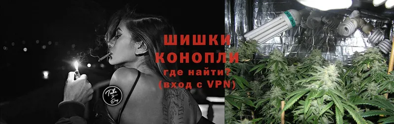 где найти   Челябинск  Бошки Шишки OG Kush 